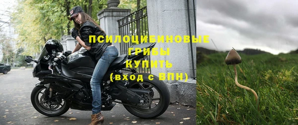 соль ск Балахна